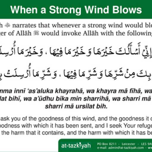 When a Strong Wind Blows