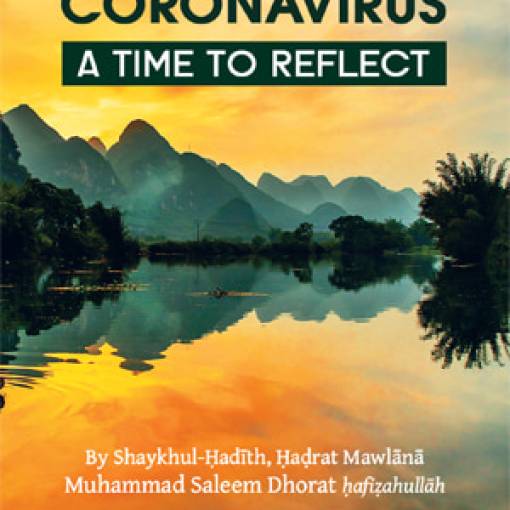 Coronavirus - A Time to Reflect