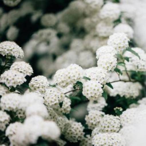 What to do After a Person's Demise