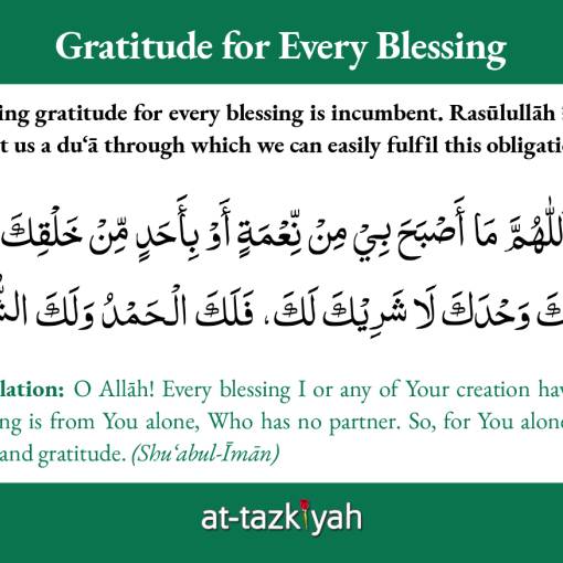Gratitude for Every Blessing