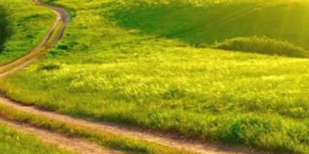 The Path to Purification