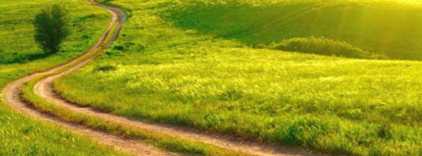 The Path to Purification