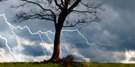 Wisdom Behind Natural Disasters